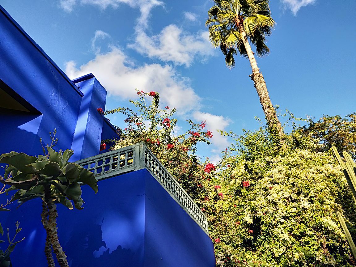 马拉喀什的伊芙圣罗兰花园满眼的马约尔蓝高大的仙人掌好像热带丛林