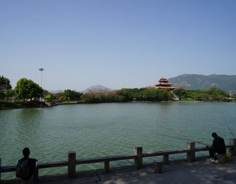 100h0z000000mximc2C06_C_480_375.jpg