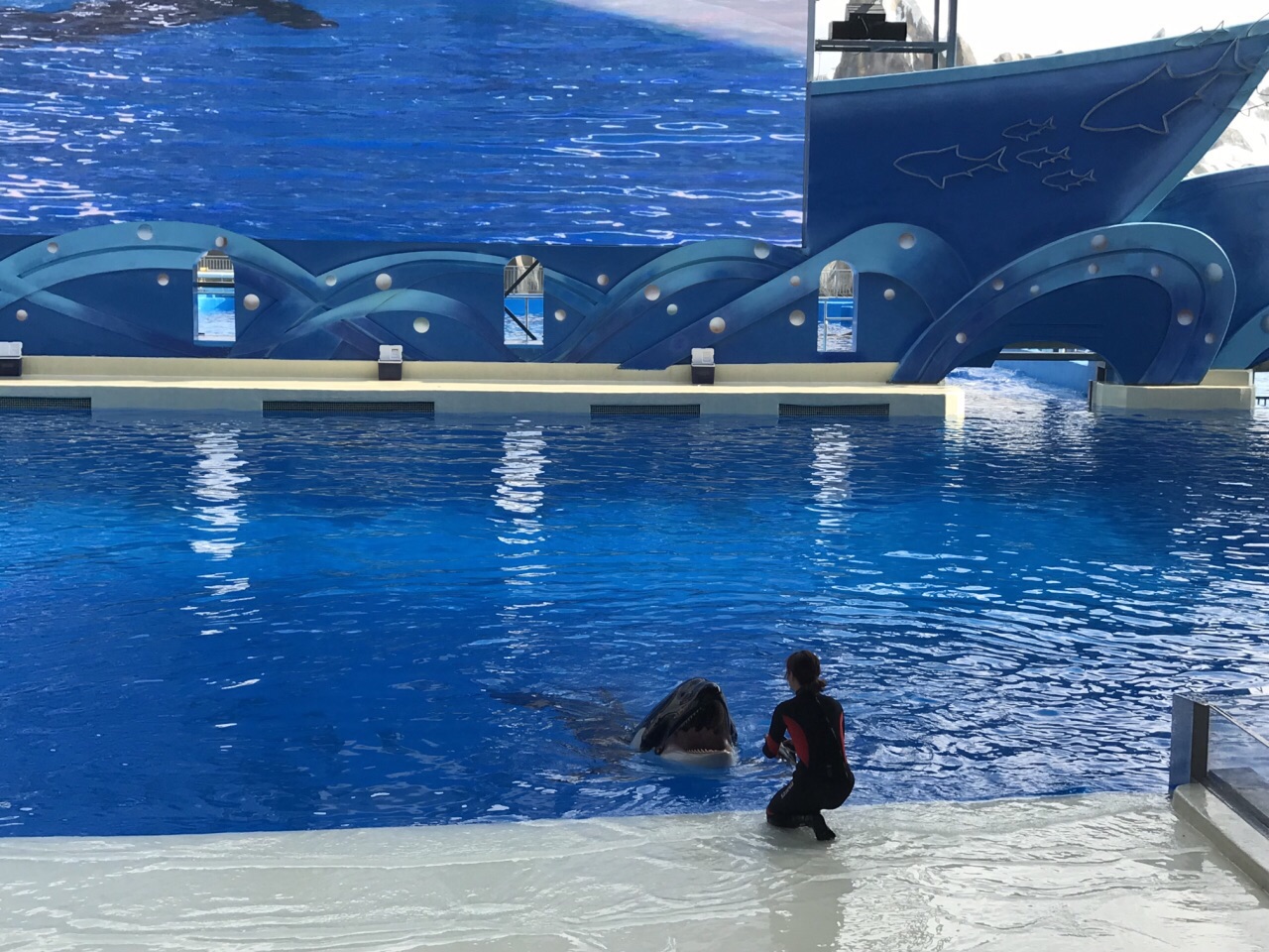 2024上海海昌海洋公园游玩攻略,这里还有超带感的海豚过山车...【去哪儿攻略】