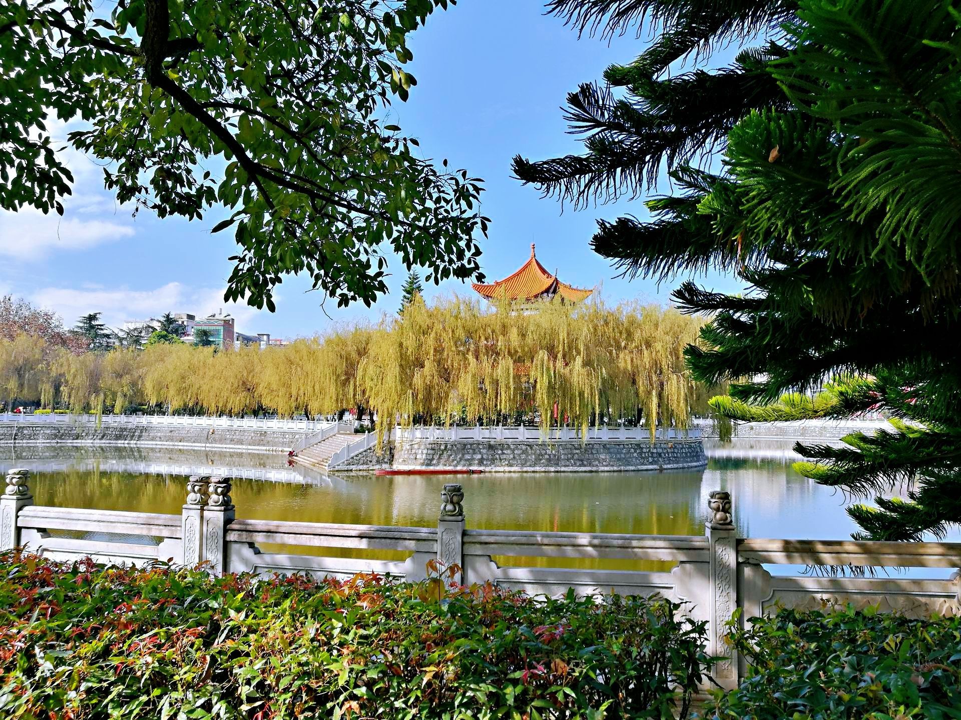 郑州莲湖公园图片
