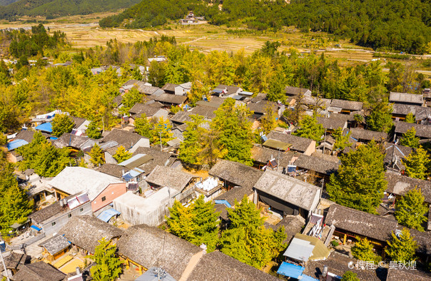 騰沖銀杏村