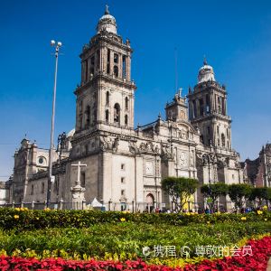 墨西哥城主教座堂旅游景点图片