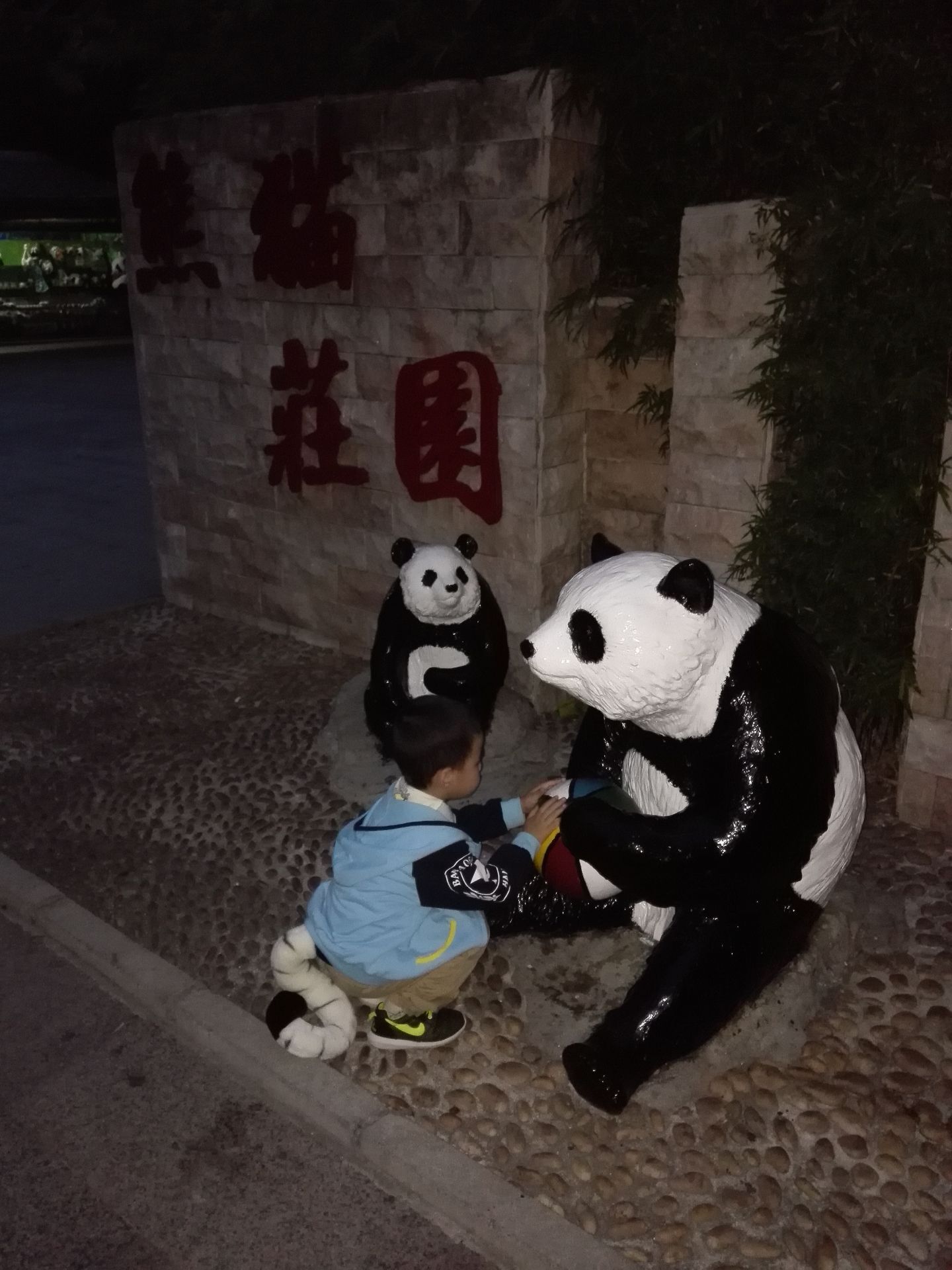 广州长隆野生动物园夜场攻略来了_熊猫