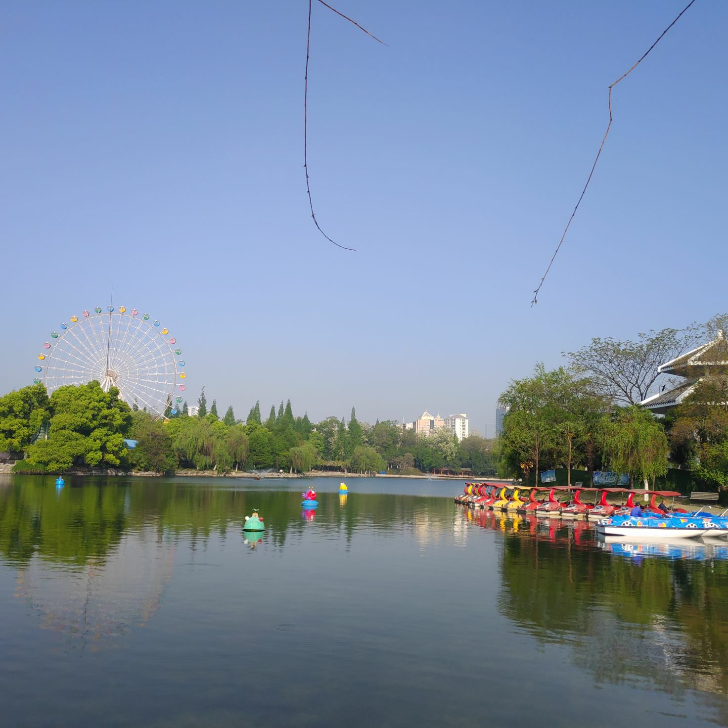 合肥杏花公園好玩嗎,合肥杏花公園景點怎麼樣_點評_評價【攜程攻略】