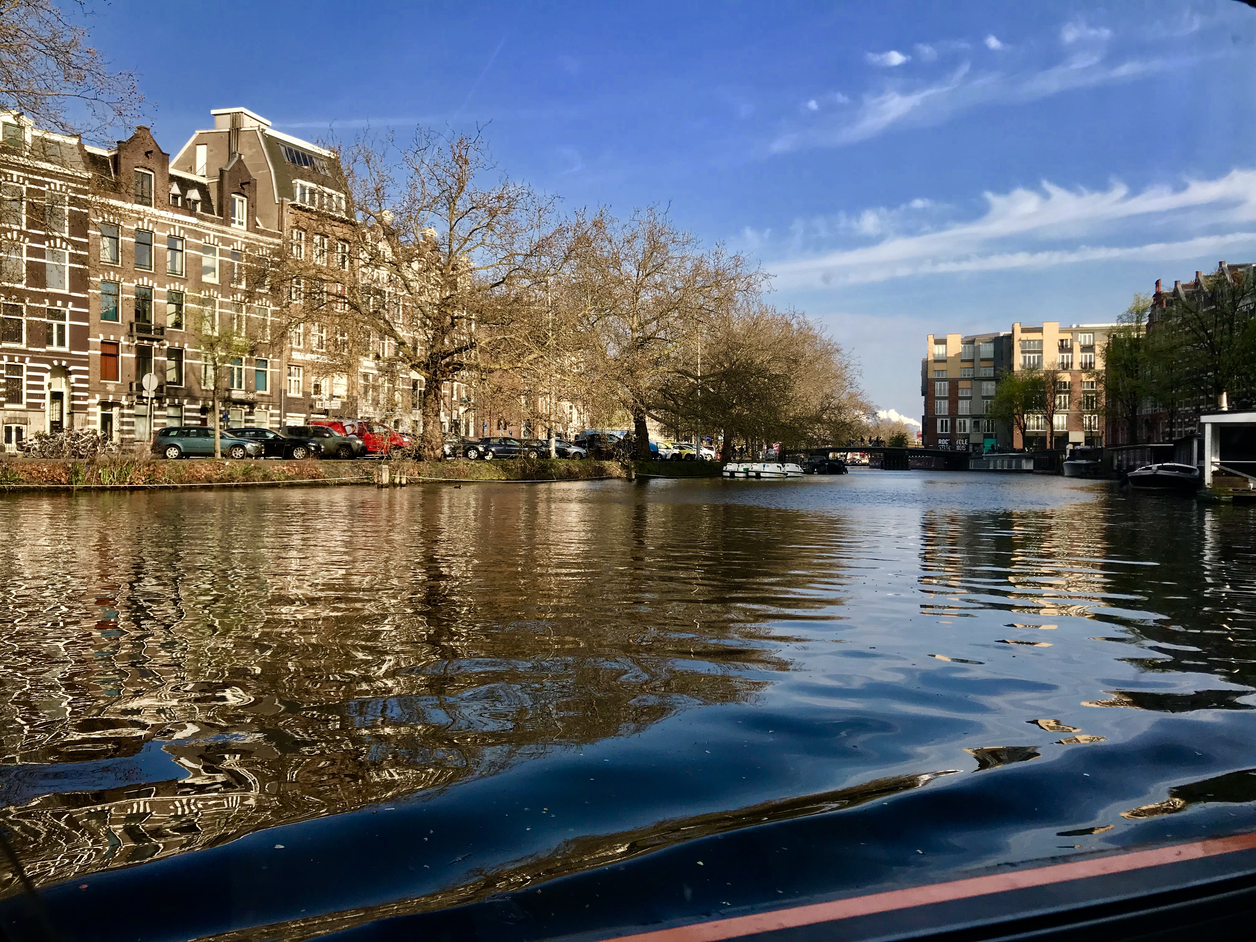阿姆斯特丹旅游攻略-2021阿姆斯特丹自助游-周边自驾-游玩攻略-自由行-吃喝玩乐指南-去哪儿攻略