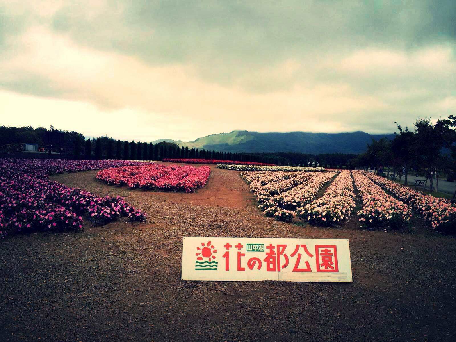 最大牌的公园！让富士山给它当背景的高原上的花之都公园！_百科TA说