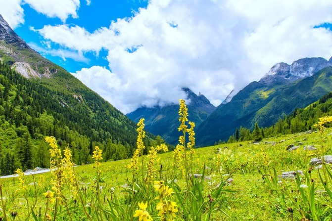 山水之音简谱_寂静之音口琴简谱(2)