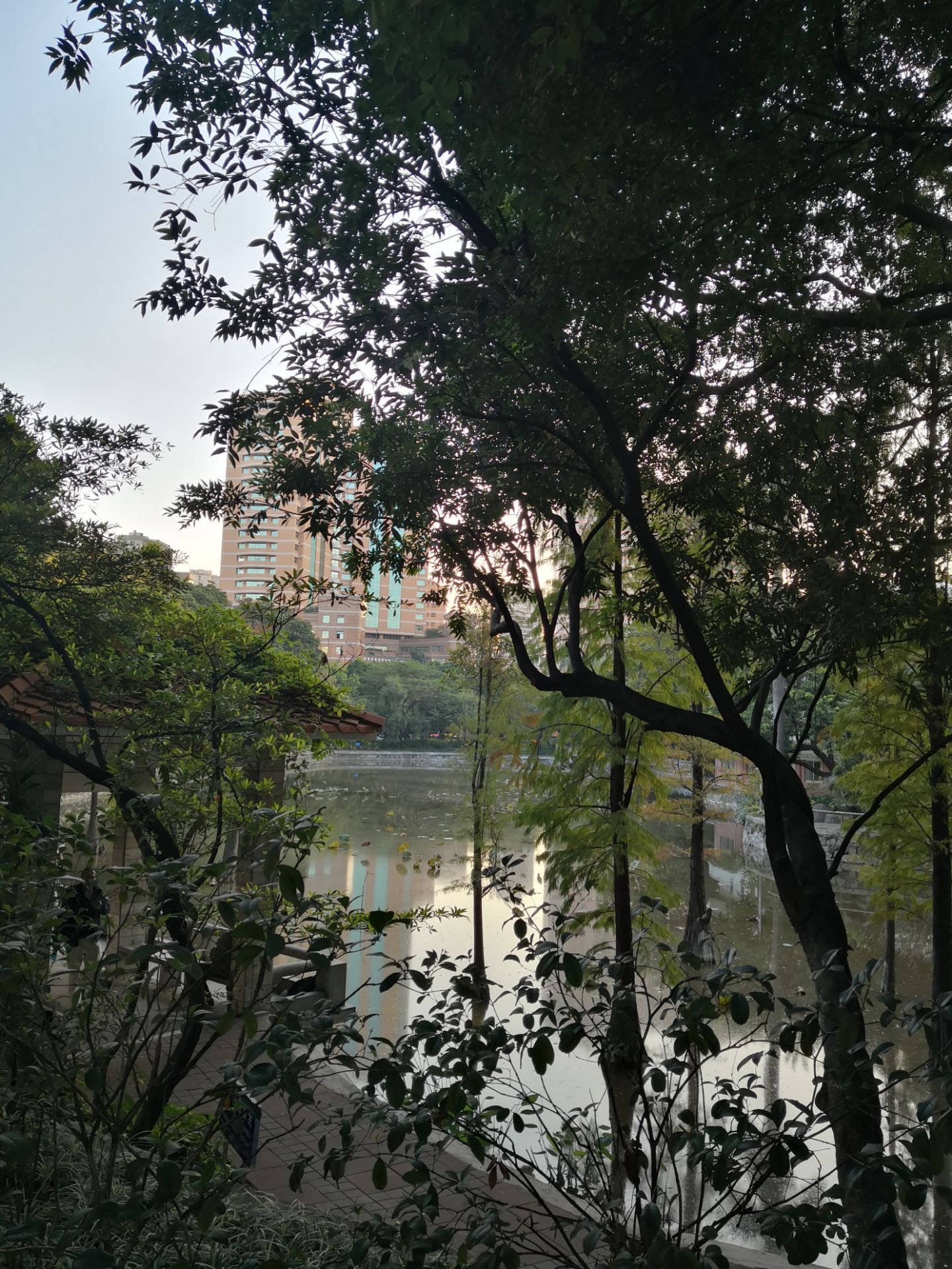 海門東洲公園好玩嗎,海門東洲公園景點怎麼樣_點評_評價【攜程攻略】