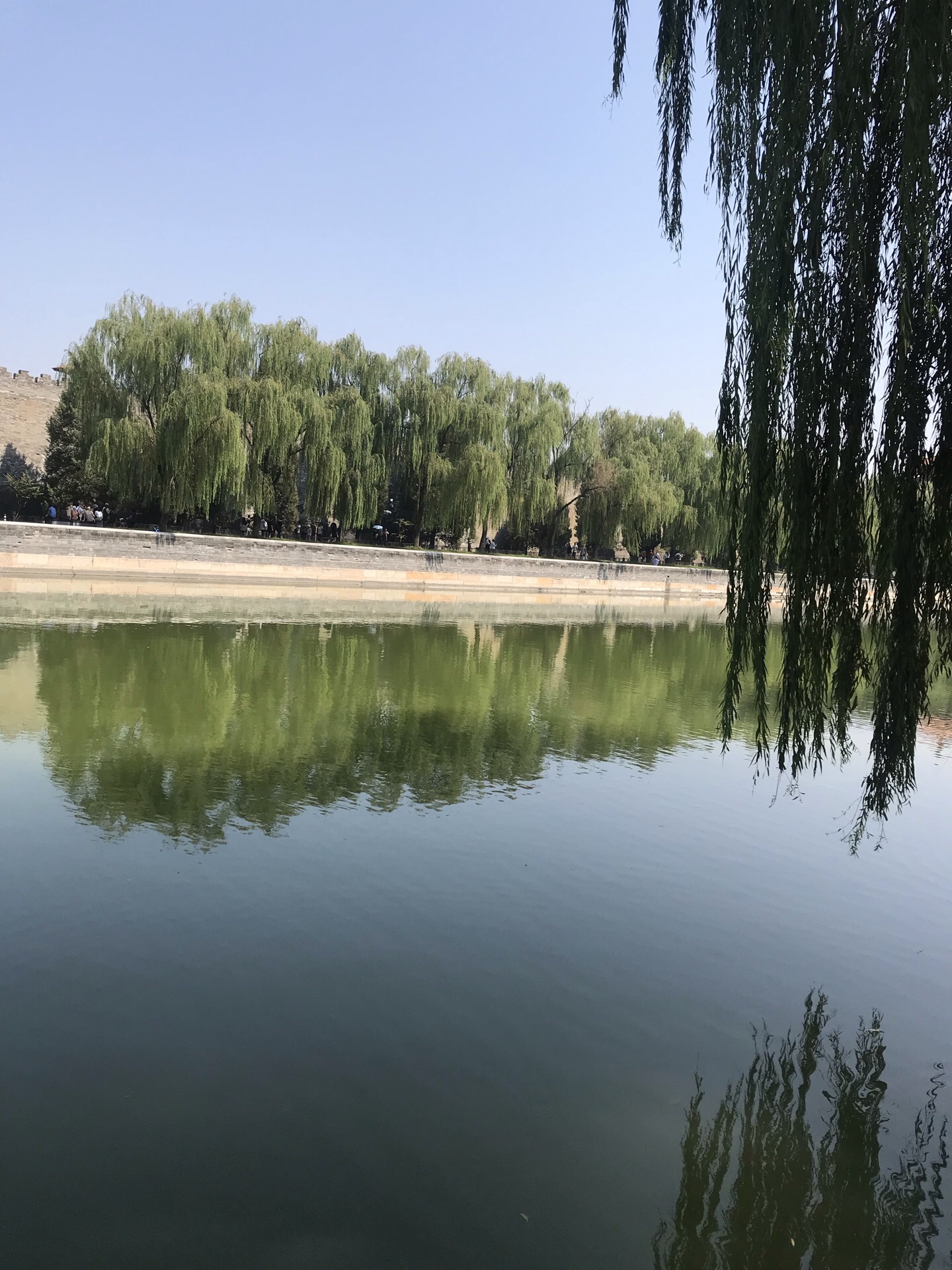 大自然的调色板！北京世园公园迎来“醉美”之秋_新闻频道_中华网