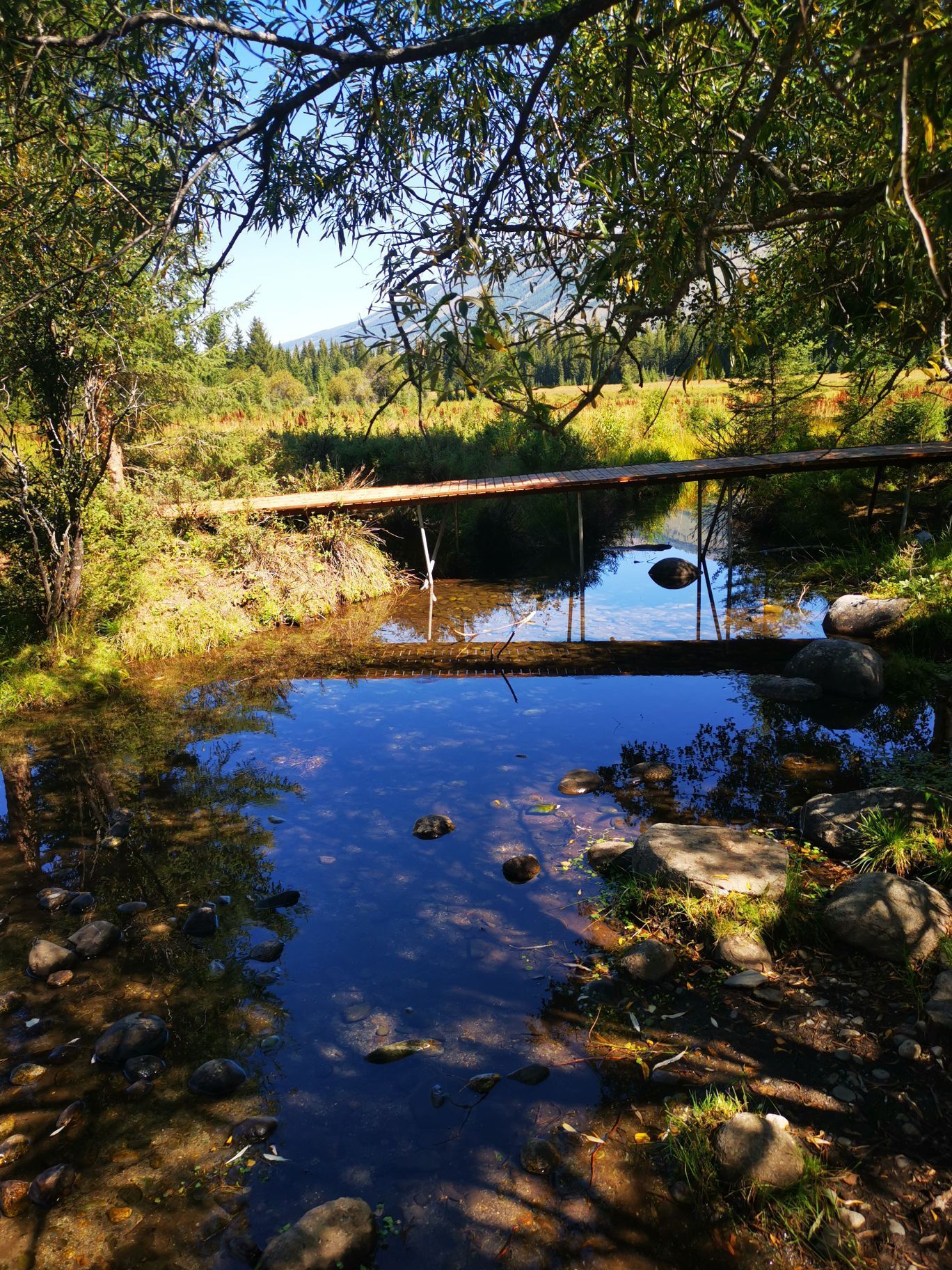 【携程攻略】喀纳斯喊泉景点,这个景点很特别,从喀纳斯游客中心只能