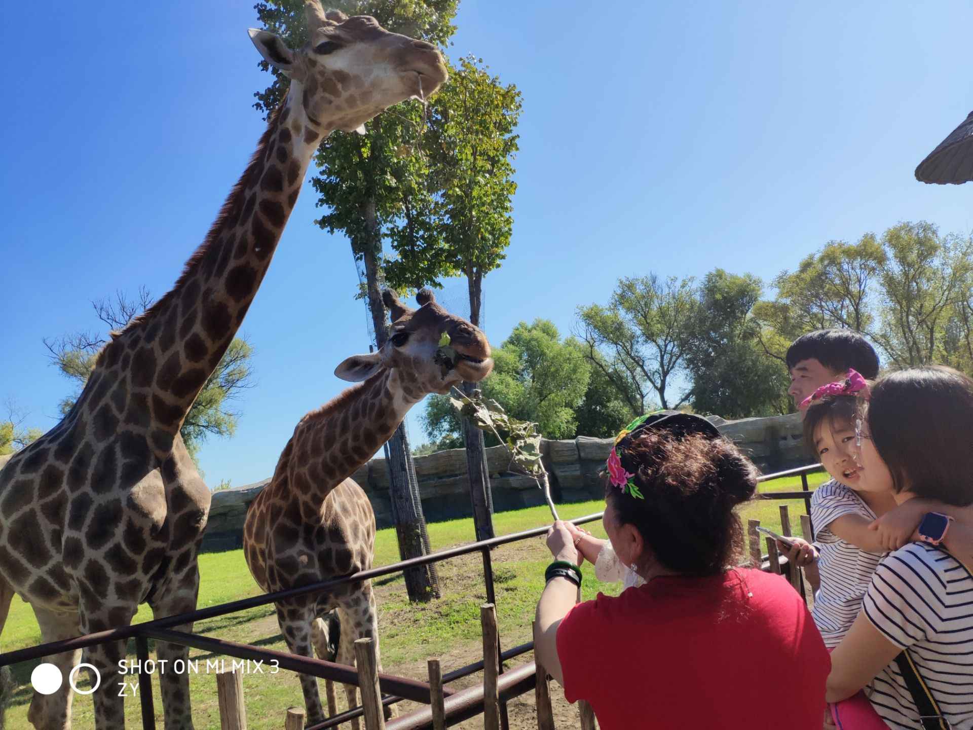 【攜程攻略】齊齊哈爾龍沙動植物園景點,作為親子一日遊還可以 剛開門