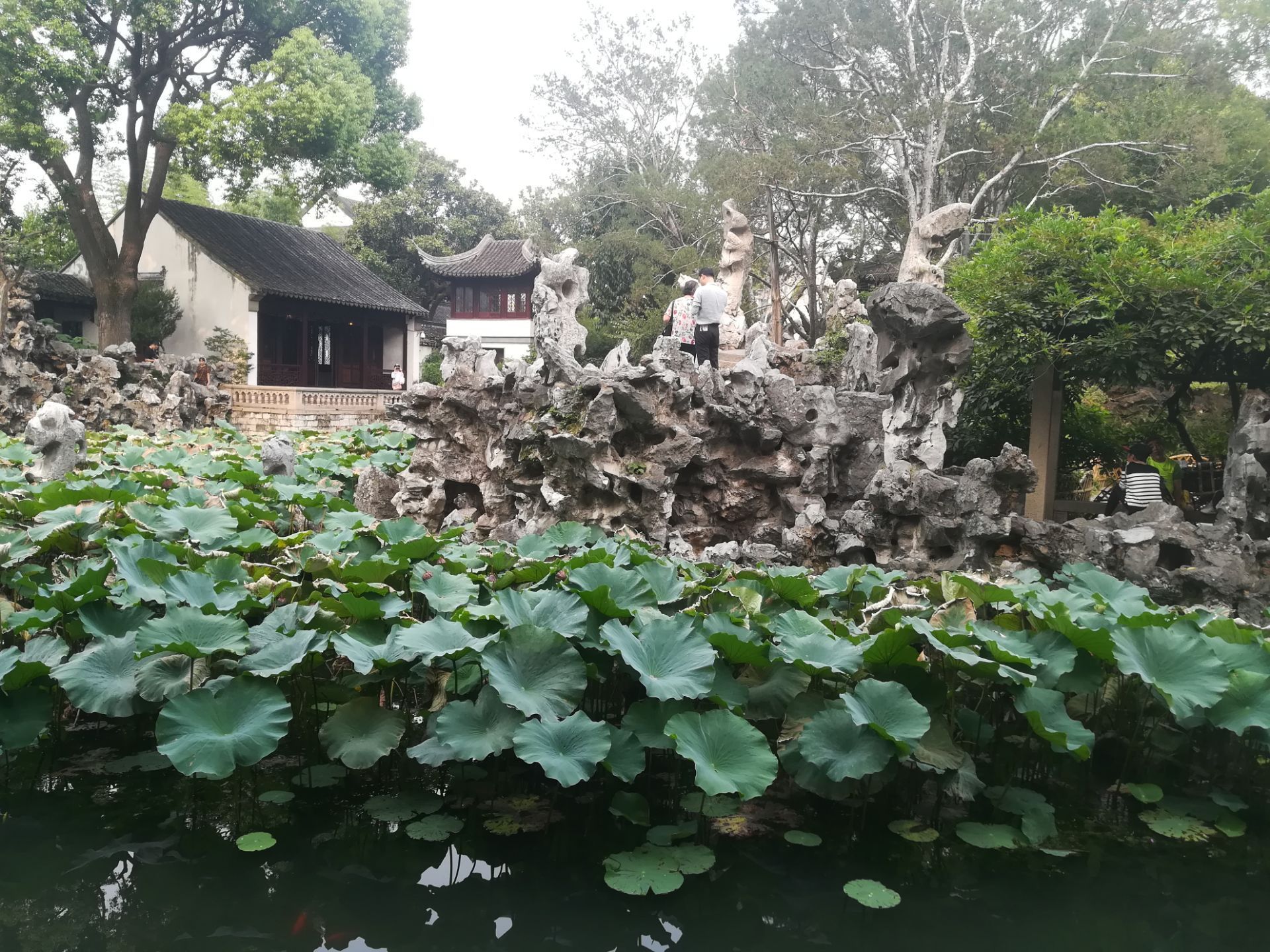 蘇州獅子林好玩嗎,蘇州獅子林景點怎麼樣_點評_評價【攜程攻略】