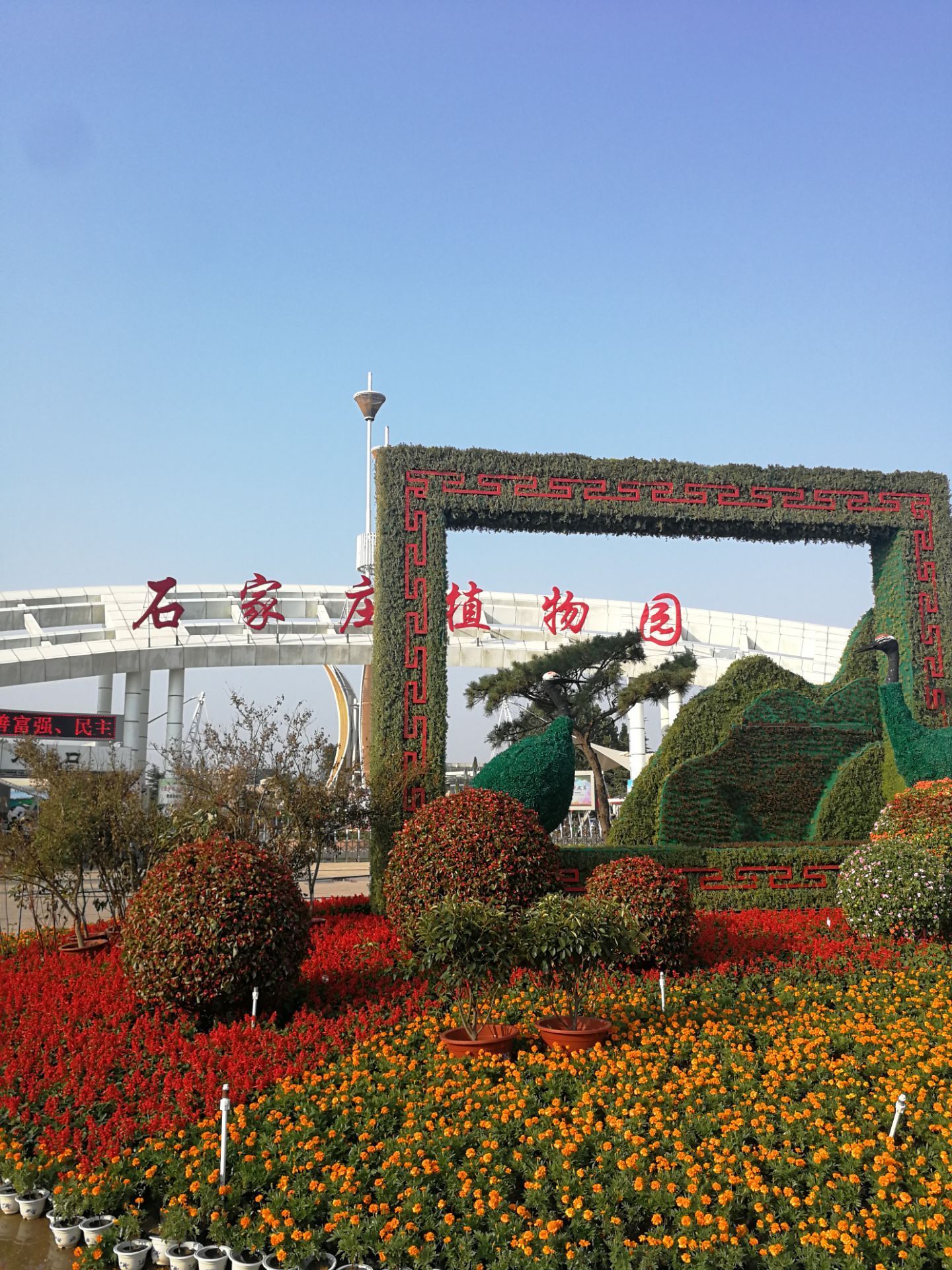 上海植物园攻略,上海植物园门票/游玩攻略/地址/图片/门票价格【携程攻略】