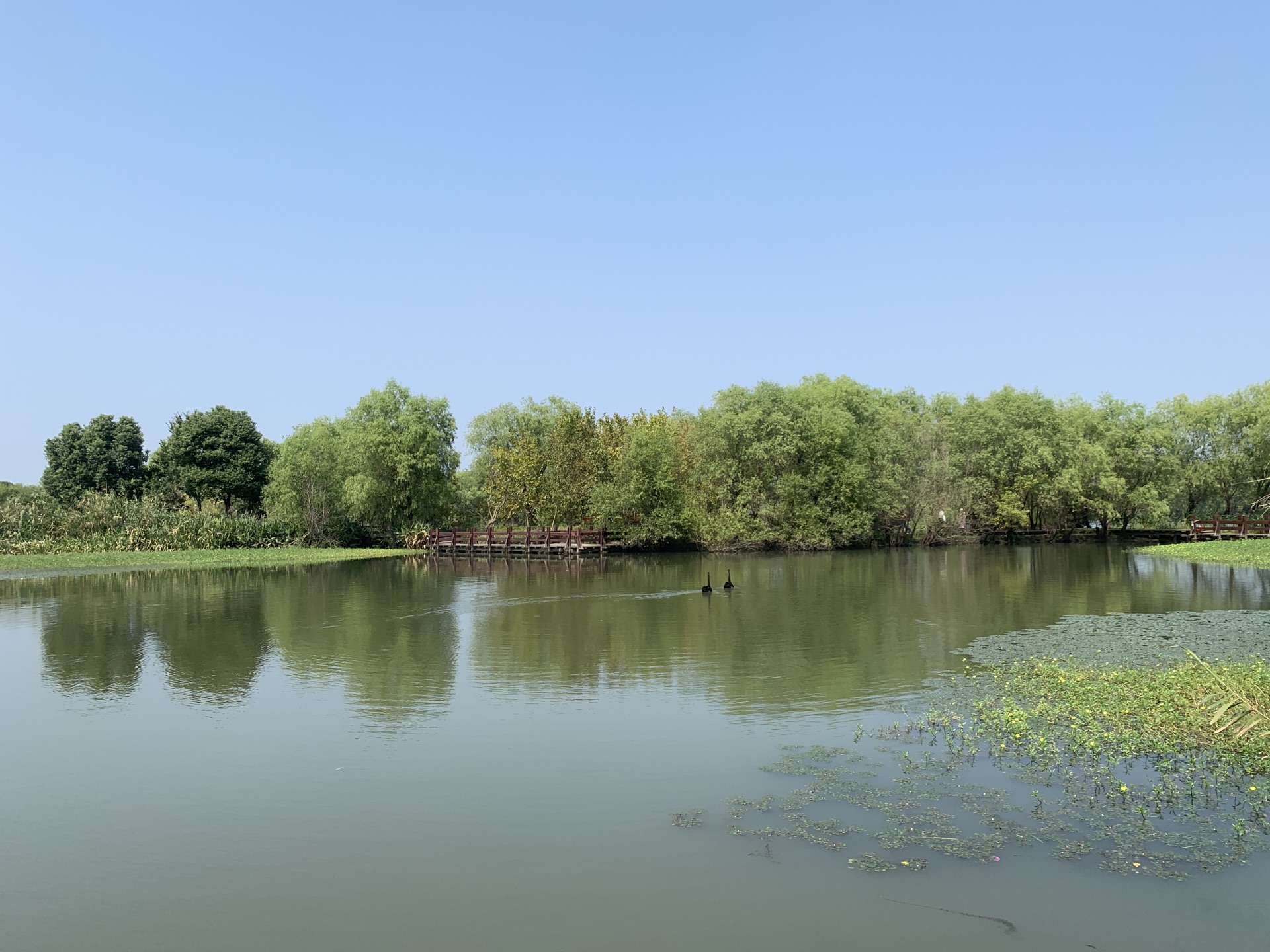 图影生态湿地文化园