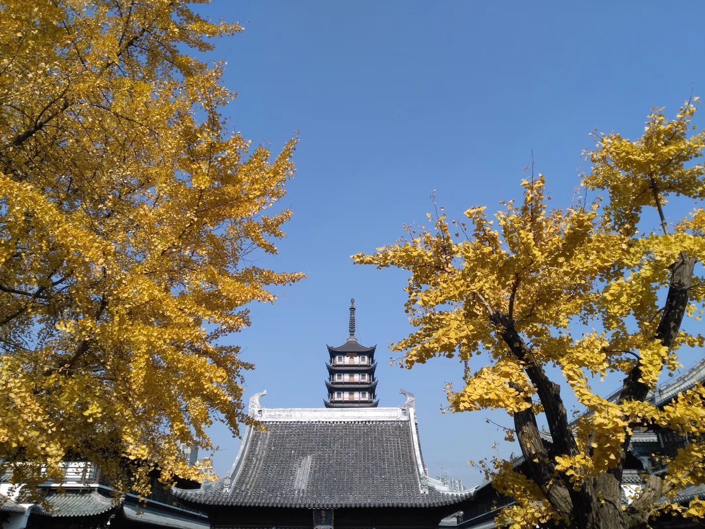 【携程攻略】上海真如寺景点,真如寺位于上海普陀区真如镇街道,占地近