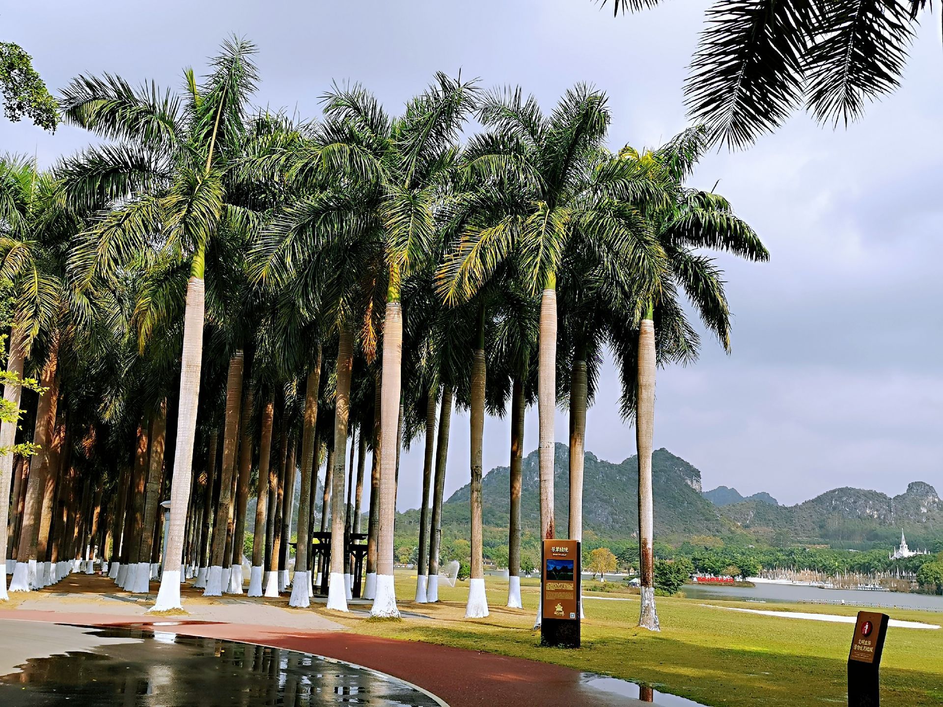 花花大世界在南宁郊区的武鸣区,喀斯特地貌风景,青山绿水,再有一片