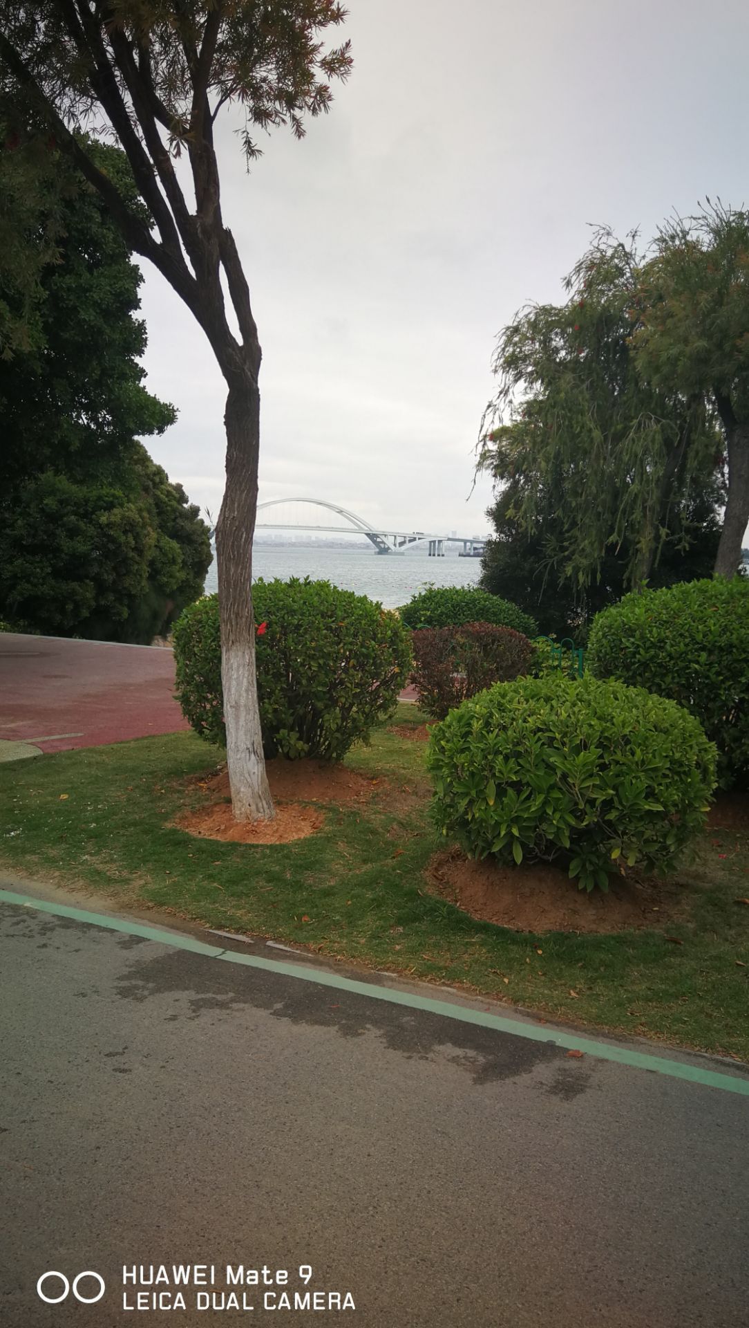 五缘湾文谷旅游区