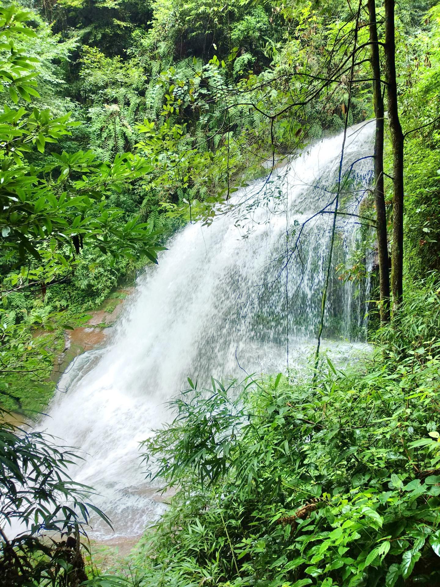 雅安碧峰峡熊猫基地