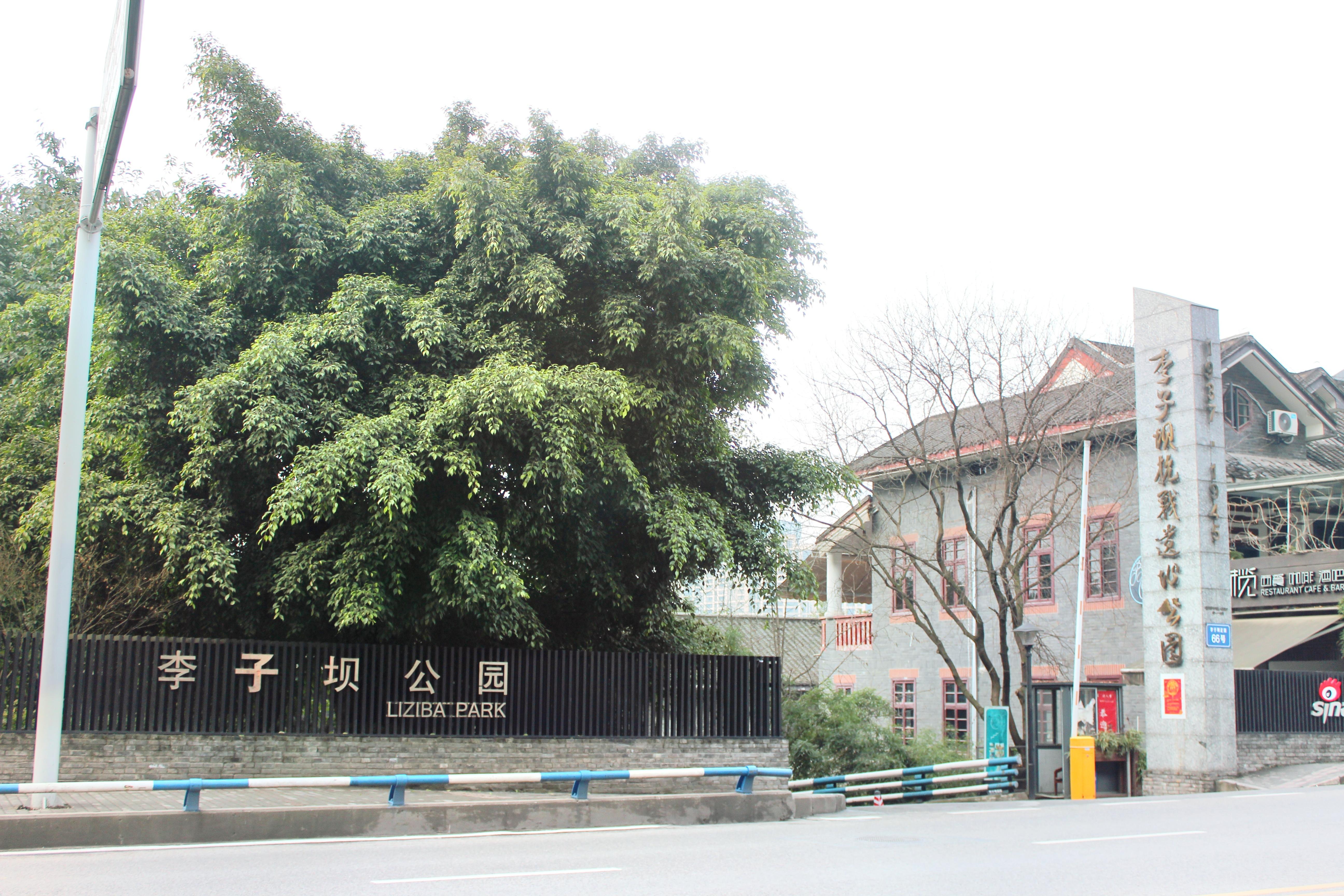 重庆李子坝轻轨站攻略,重庆李子坝轻轨站门票/游玩攻略/地址/图片/门