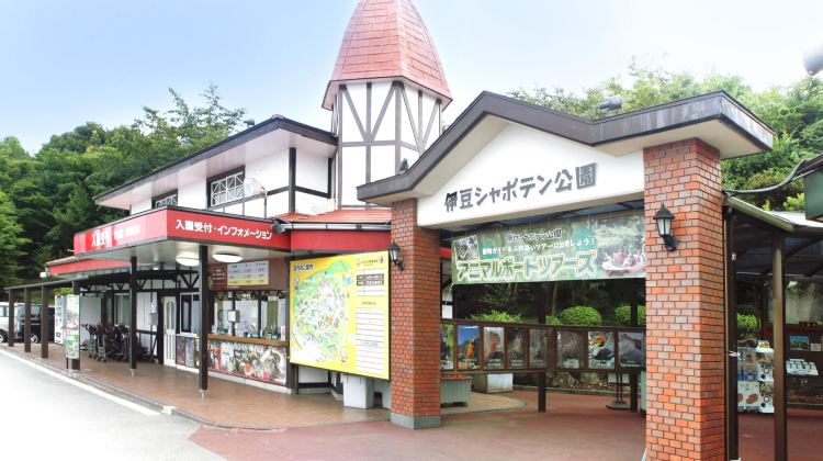 伊东市伊豆仙人掌动物园攻略 伊豆仙人掌动物园门票价格多少钱 团购票价预定优惠 景点地址图片 携程攻略 伊东市伊豆仙人掌动物园攻略 伊豆仙人掌动物园门票价格多少钱 团购票价预定优惠 景点地址图片 携程攻略
