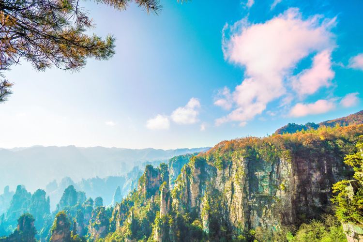 天子山旅遊攻略指南 天子山評價 天子山附近推薦 Trip Com