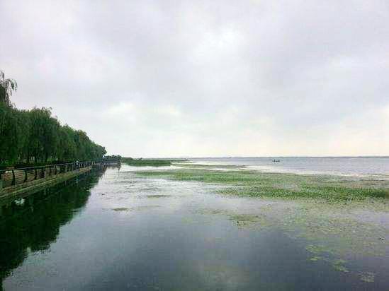 汀那苏拉农桥 直线距离9.5km