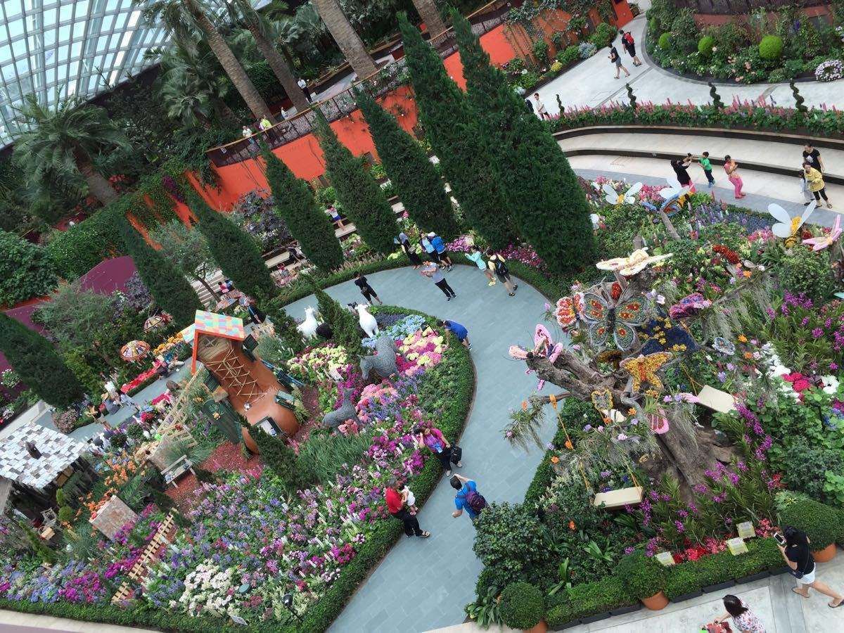 2023新加坡植物园游玩攻略,兰花花园区一年中任何时候去.