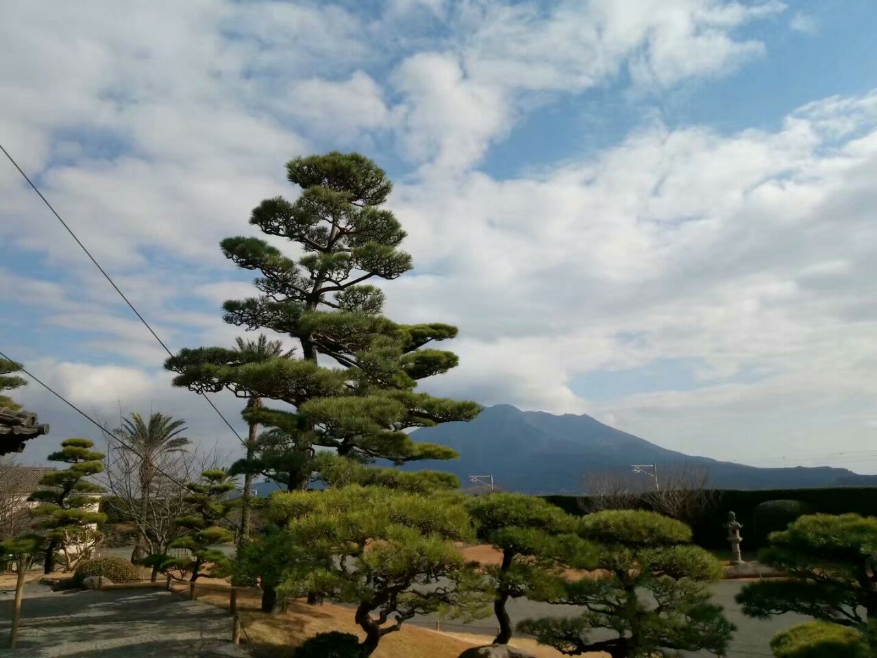 鹿兒島仙岩園好玩嗎,鹿兒島仙岩園景點怎麼樣_點評_評價【攜程攻略】