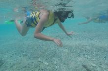 斐济游第七天:塔韦乌尼岛~彩虹环礁浮潜