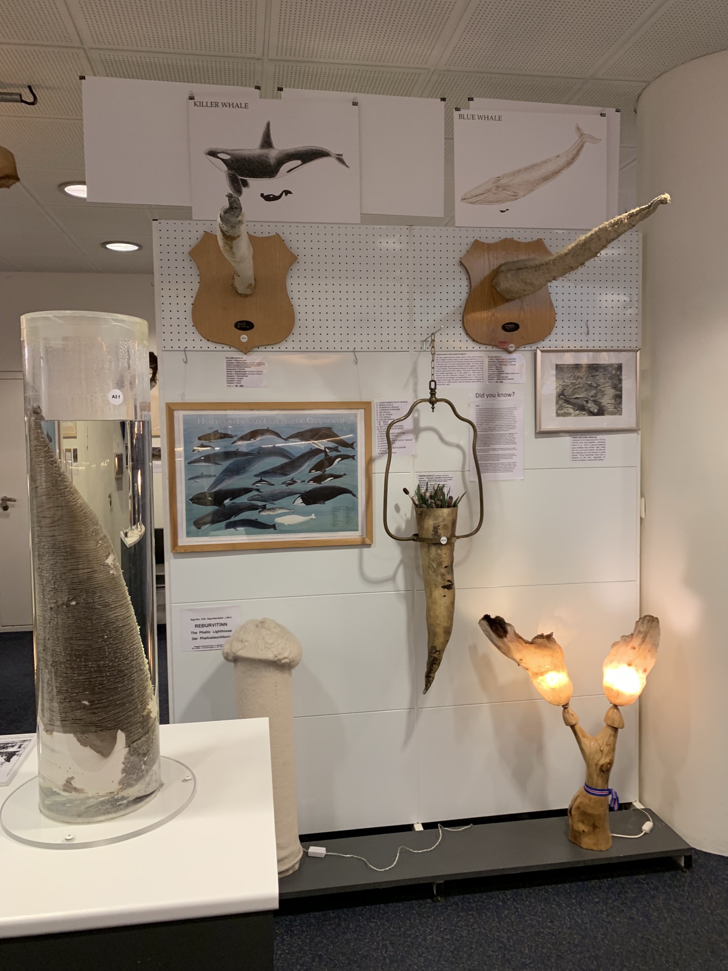 冰岛当地赫赫有名的一个博物馆吧 如果带着学习的心情的话还是很棒的