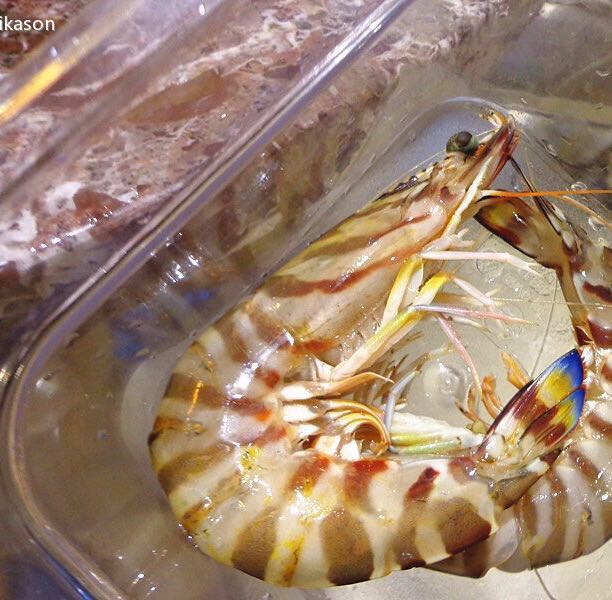 环境和服务很好,味道也不错,就是太贵了,138元一只斑马虾,98条小海参