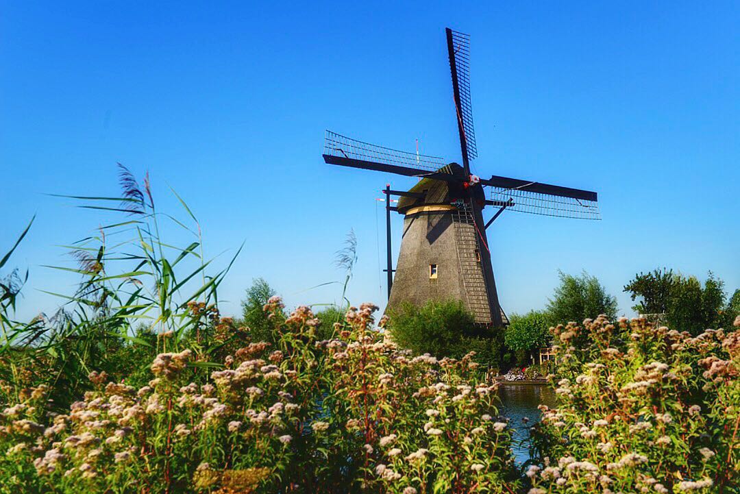 小孩堤防风车村