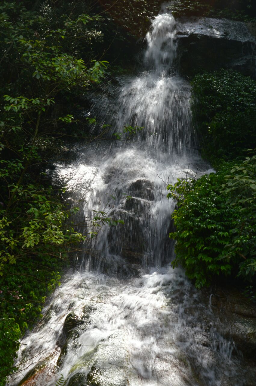 王仙嶺旅遊風景區旅遊景點攻略圖