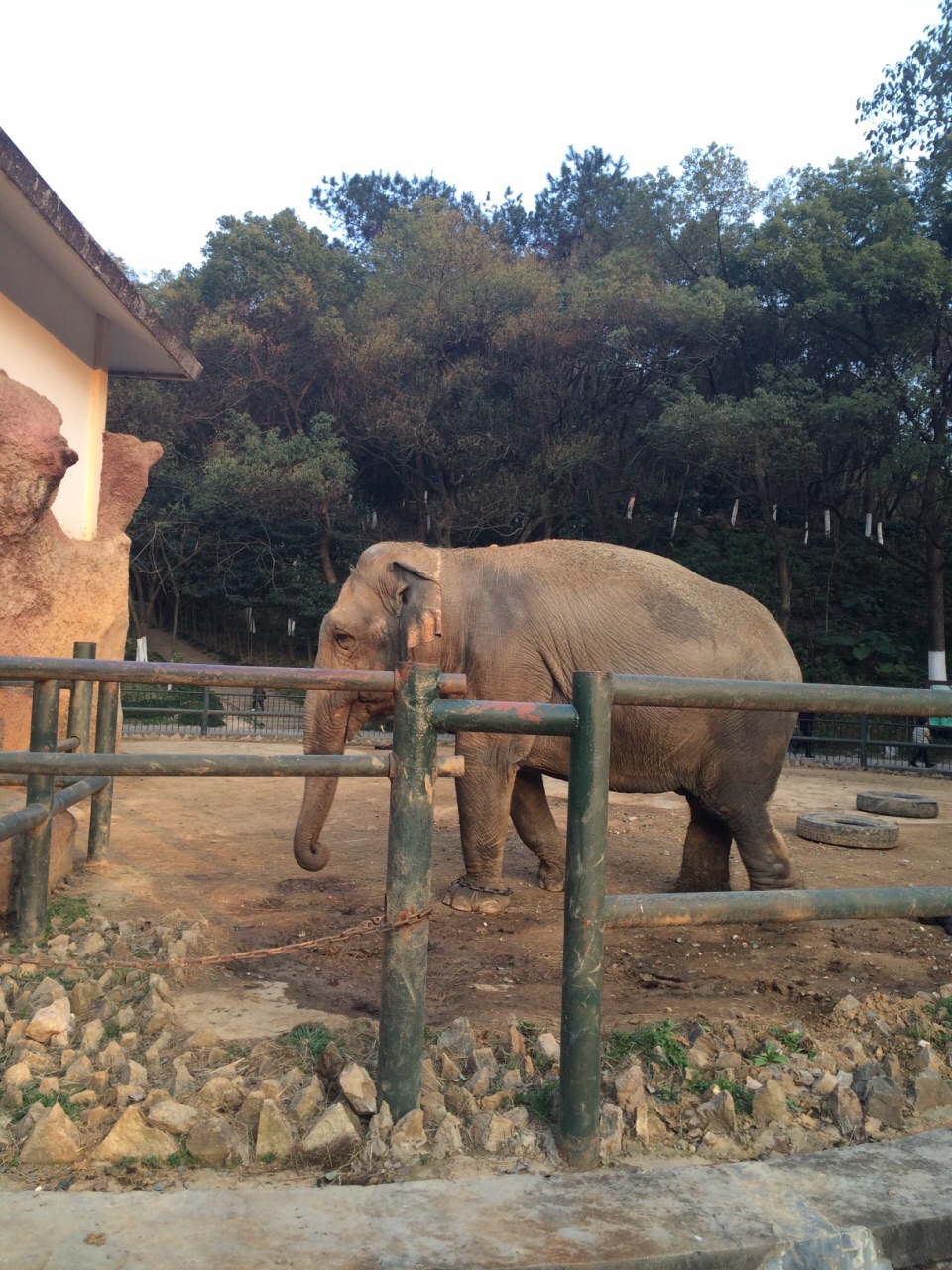 溫州動物園