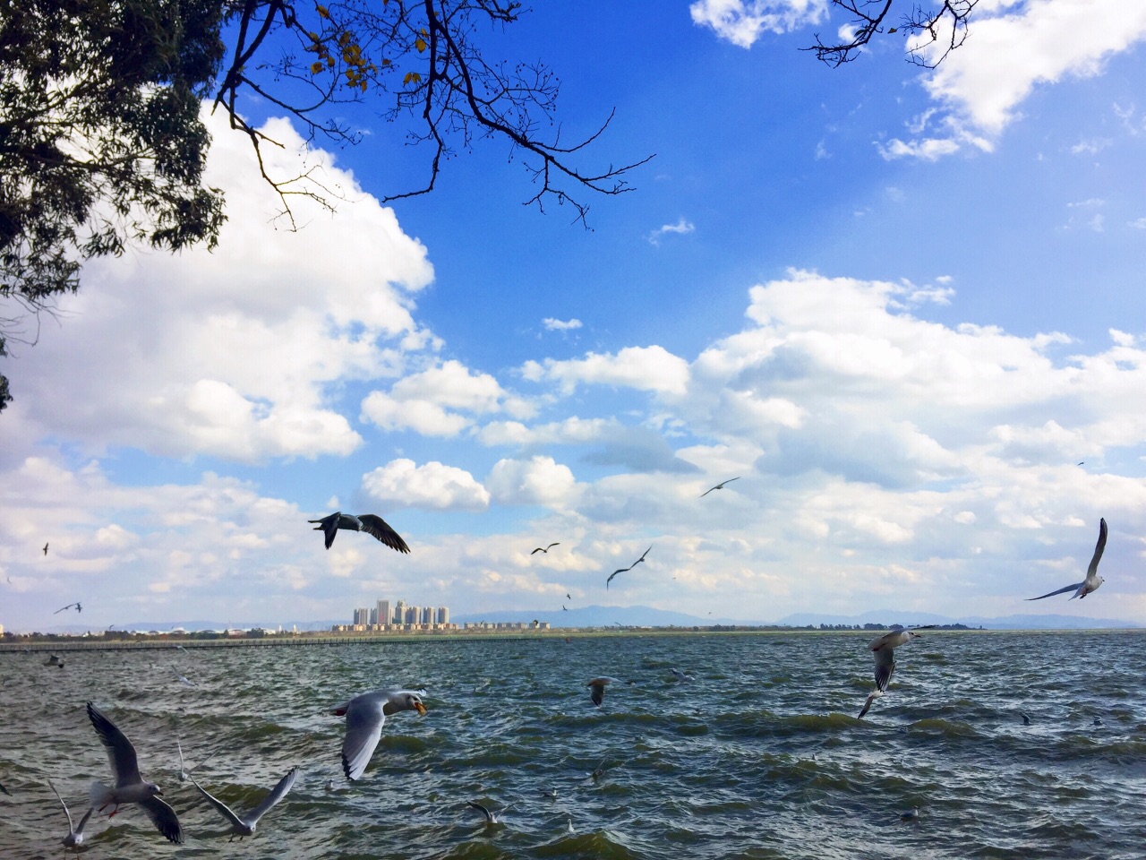 2019滇池_旅游攻略_门票_地址_游记点评,昆明旅游景点推荐 - 去哪儿