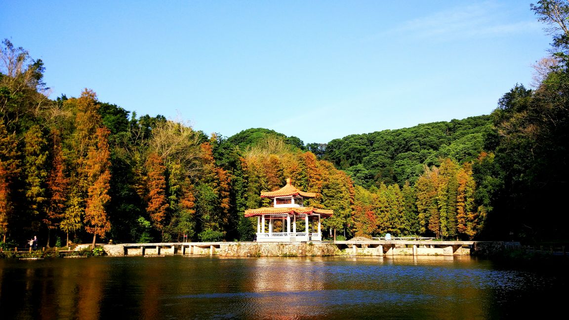 【携程攻略】仙湖植物园门票,深圳仙湖植物园攻略/地址/图片/门票价格