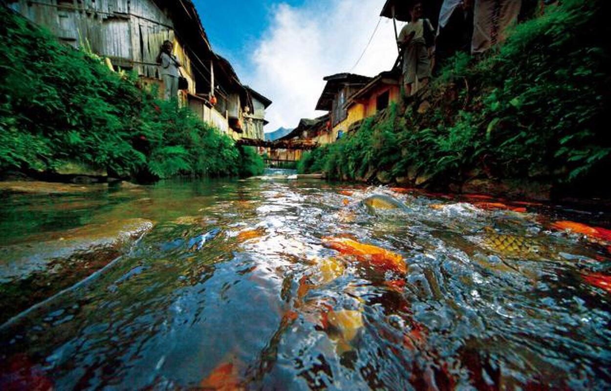 周宁鲤鱼溪好玩吗,周宁鲤鱼溪景点怎么样_点评_评价【携程攻略】