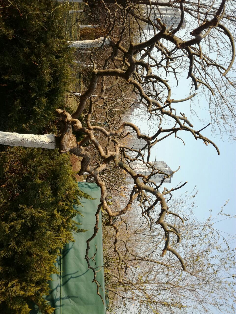 济南槐荫公园好玩吗,济南槐荫公园景点怎么样_点评_评价【携程攻略】