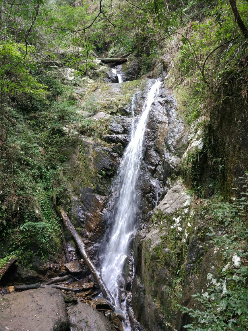 江西三百山景區風景優美,空氣清新,很適合旅遊,景區門票性價比高2017