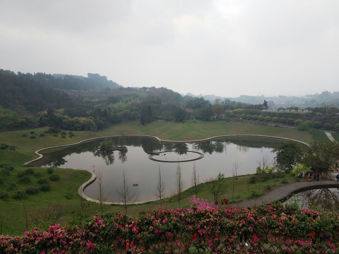 2019花舞人間_旅遊攻略_門票_地址_遊記點評,新津旅遊景點推薦 - 去