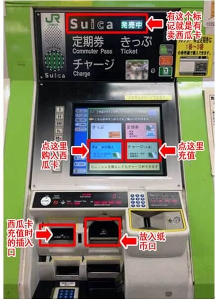 樱花季游走在东京街头:简单,实用,很适合第一次