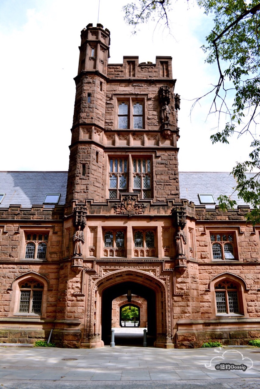 普林斯頓大學princeton university