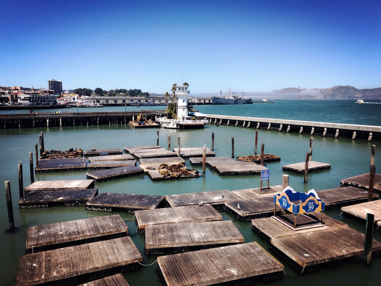 39号码头pier 39