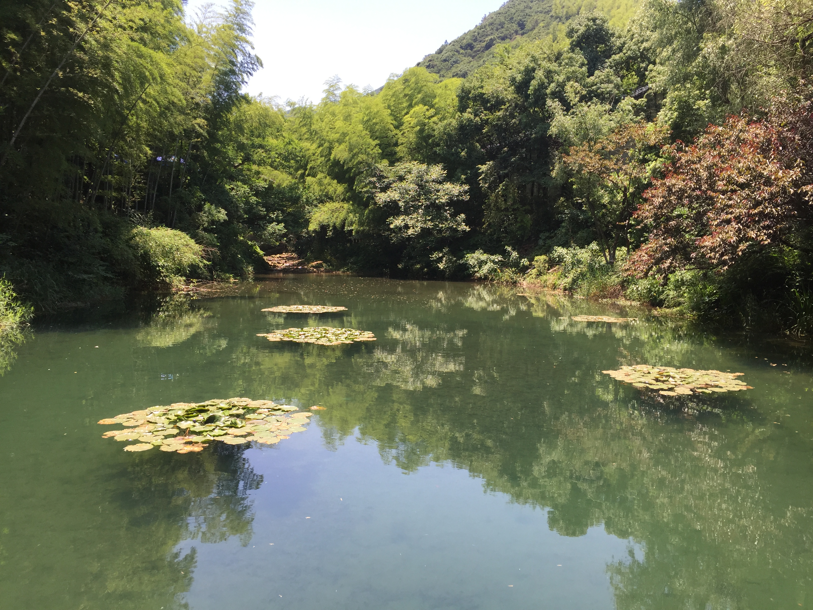 南山竹海