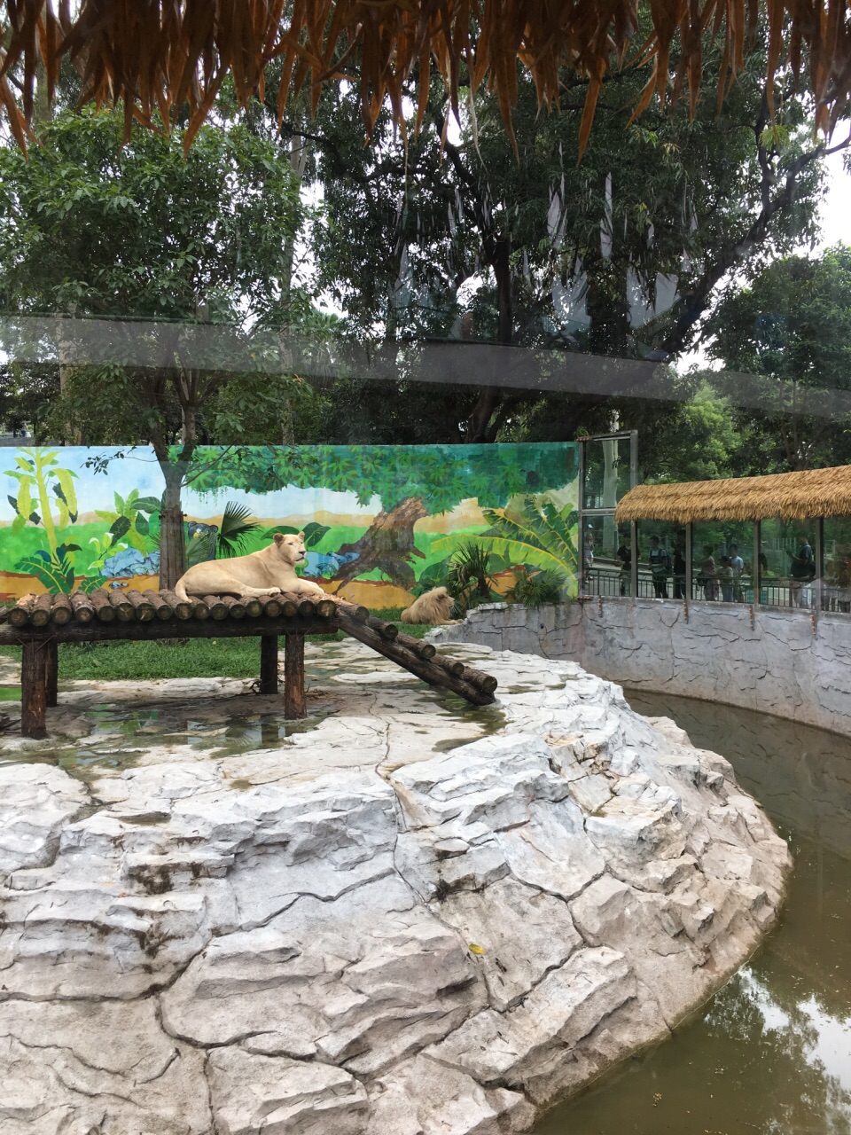 廣州動物園旅遊景點攻略圖