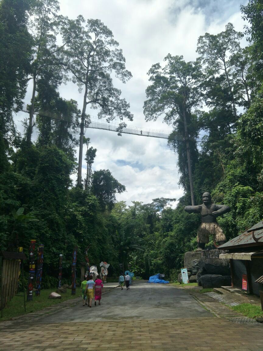 西雙版納熱帶雨林國家公園望天樹景區旅遊景點攻略圖