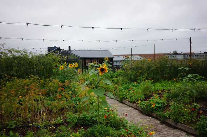 《晓松奇谈》里的瑞典与丹麦--天堂般的存在