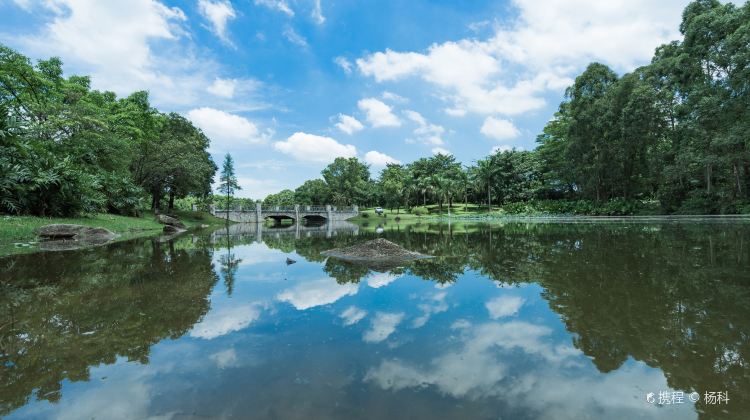 松山湖中心公园门票价格多少钱-团购票价预定优惠-景点地址图片