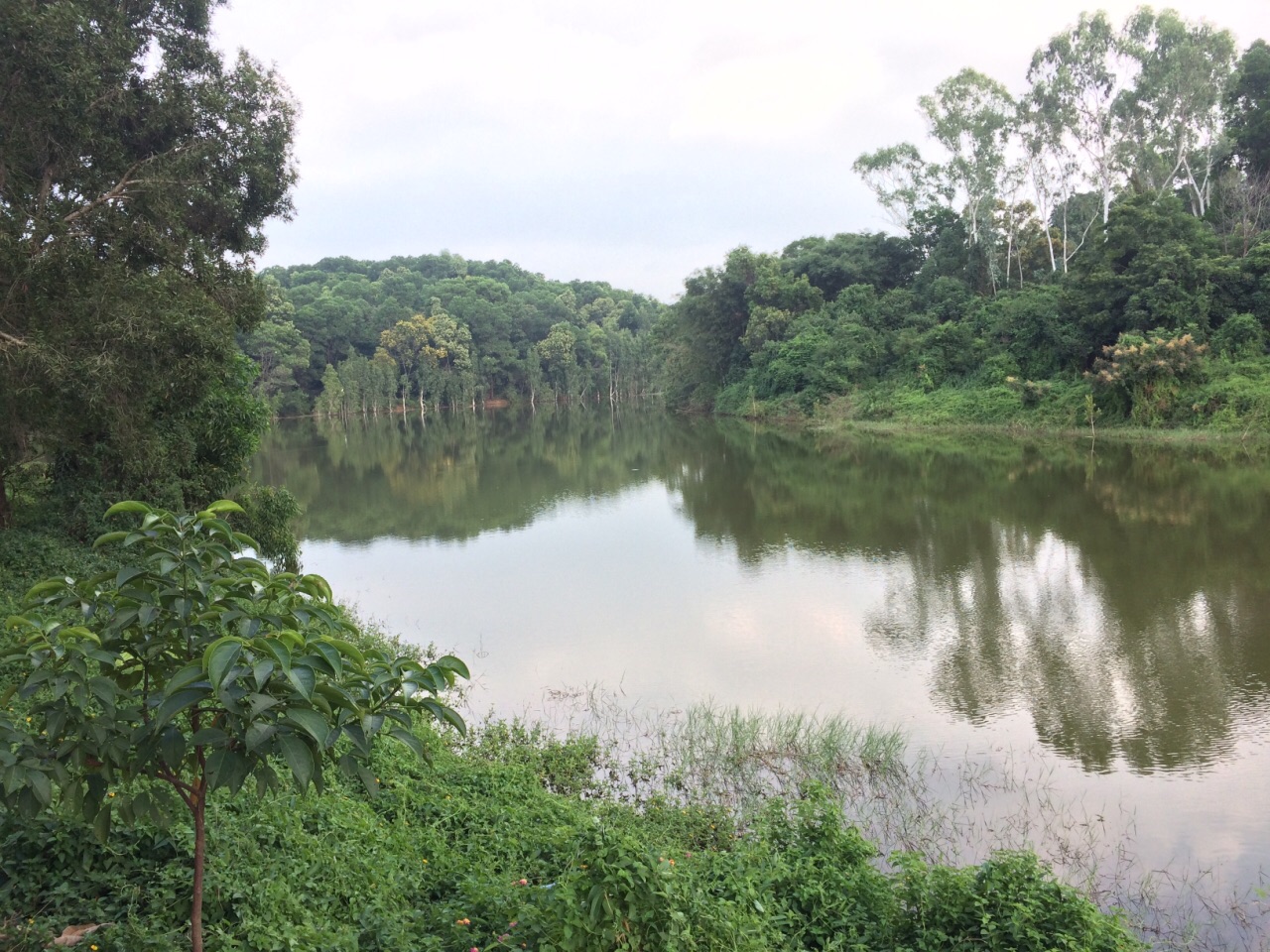 觀瀾山水田園旅遊文化園旅遊景點攻略圖