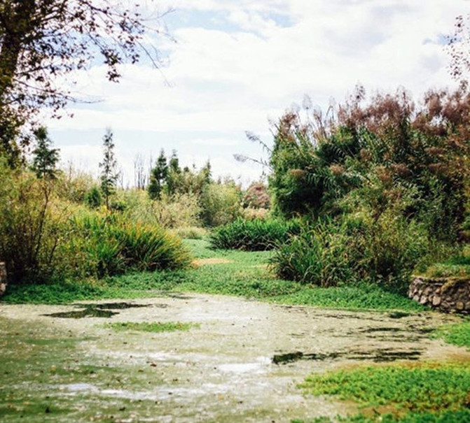 【一生只想跟你走#云南篇】 附2017春季丽江